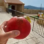 Masseria Torre Saracena
