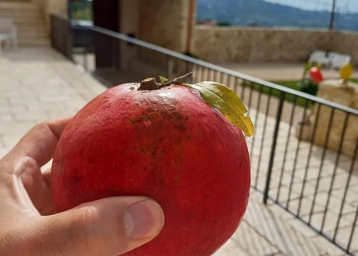 Masseria Torre Saracena