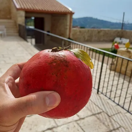Masseria Torre Saracena